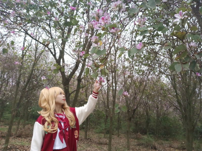 暮秋的第二张照片--广西闪婚服务中心