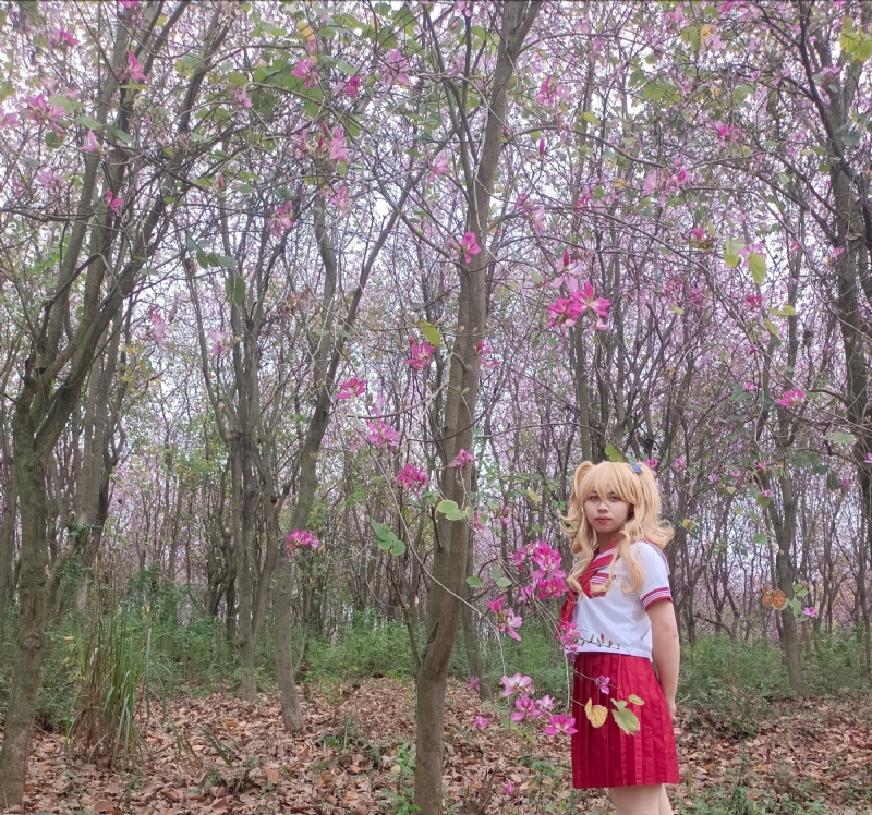 暮秋的第三张照片--广西闪婚服务中心